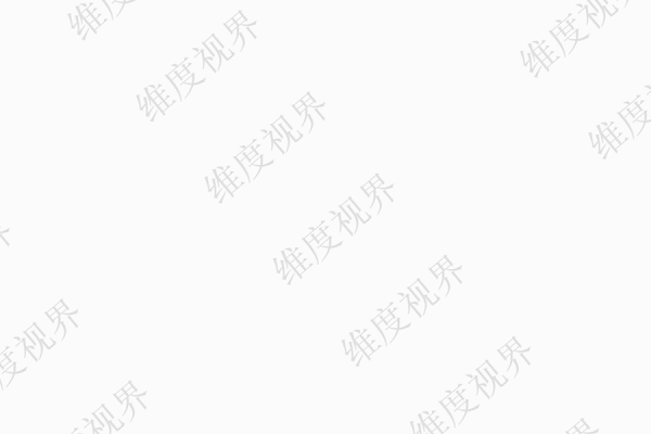案例图片